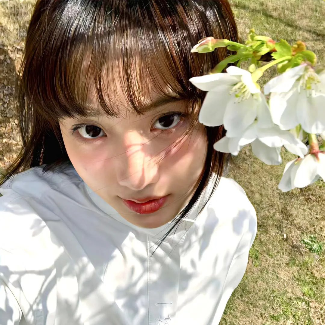 盲盒之遗产疑局